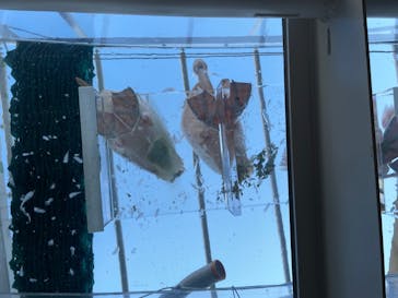 サンシャイン水族館に投稿された画像（2022/9/10）