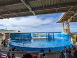 新江ノ島水族館に投稿された画像（2022/9/11）