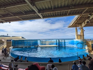 新江ノ島水族館に投稿された画像（2022/9/11）