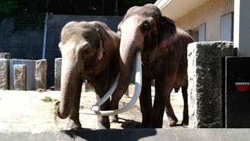横浜市立金沢動物園に投稿された画像（2022/9/11）