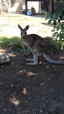 横浜市立金沢動物園に投稿された画像（2022/9/11）