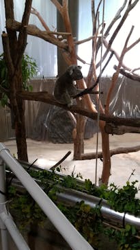 横浜市立金沢動物園に投稿された画像（2022/9/11）