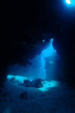 マリンズプロ宮古に投稿された画像（2022/9/11）