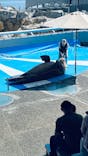 大分マリーンパレス水族館 「うみたまご」に投稿された画像（2022/9/11）
