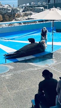 大分マリーンパレス水族館 「うみたまご」に投稿された画像（2022/9/11）