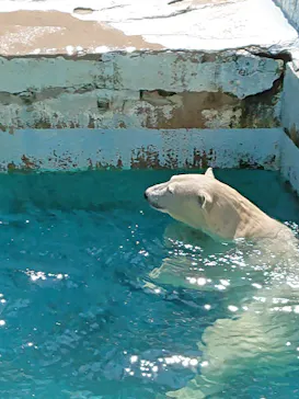 天王寺動物園に投稿された画像（2022/9/11）