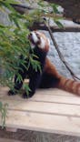 九十九島動植物園森きららに投稿された画像（2022/9/11）