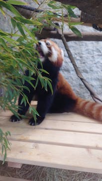 九十九島動植物園森きららに投稿された画像（2022/9/11）