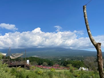 まかいの牧場に投稿された画像（2022/9/11）