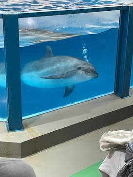 登別マリンパークニクスに投稿された画像（2022/9/11）