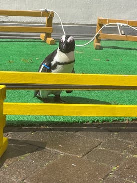 登別マリンパークニクスに投稿された画像（2022/9/11）