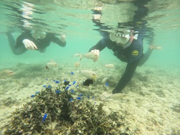 沖縄マリンサービス碧に投稿された画像（2022/9/11）