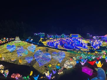 伊豆ぐらんぱる公園に投稿された画像（2022/9/11）