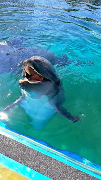 横浜・八景島シーパラダイスに投稿された画像（2022/9/11）