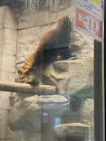 天王寺動物園に投稿された画像（2022/9/11）