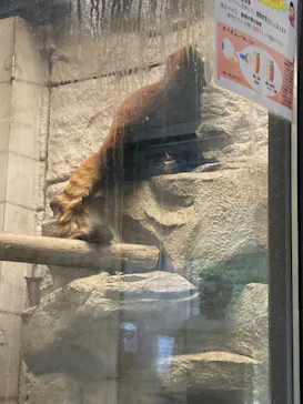 天王寺動物園に投稿された画像（2022/9/11）