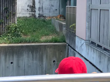 天王寺動物園に投稿された画像（2022/9/11）