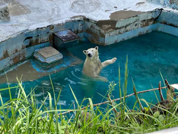 天王寺動物園に投稿された画像（2022/9/11）