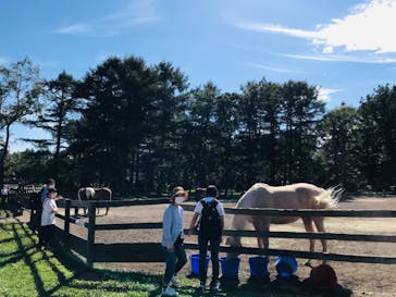 ノーザンホースパークに投稿された画像（2022/9/11）