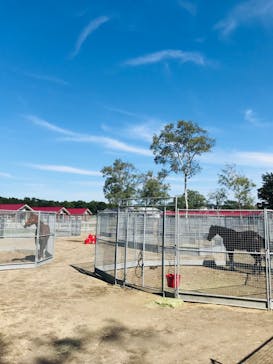 ノーザンホースパークに投稿された画像（2022/9/11）