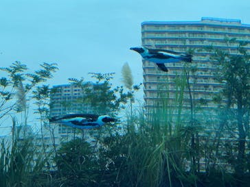 サンシャイン水族館に投稿された画像（2022/9/11）