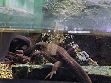 サンシャイン水族館に投稿された画像（2022/9/11）