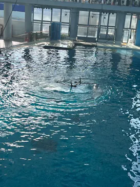 横浜・八景島シーパラダイスに投稿された画像（2022/9/11）