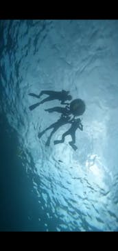 武藤潜水に投稿された画像（2022/9/11）