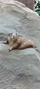 神戸どうぶつ王国に投稿された画像（2022/9/11）