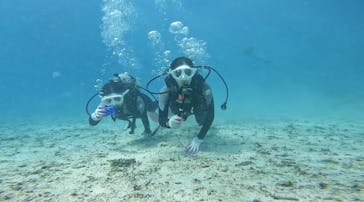 青の洞窟専門店　沖縄ダイビングショップ和に投稿された画像（2022/9/11）