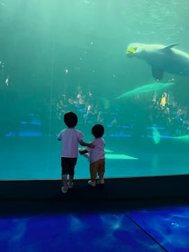 島根県立 しまね海洋館に投稿された画像（2022/9/11）