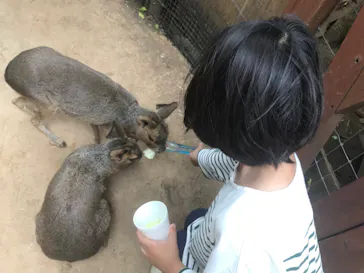 横浜・八景島シーパラダイスに投稿された画像（2022/9/11）