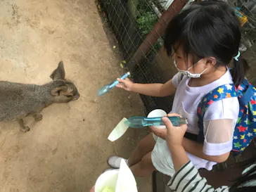 横浜・八景島シーパラダイスに投稿された画像（2022/9/11）