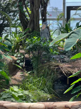 神戸どうぶつ王国に投稿された画像（2022/9/11）