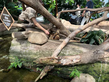 神戸どうぶつ王国に投稿された画像（2022/9/11）