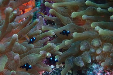 マリンステーション堂ヶ島に投稿された画像（2022/9/11）