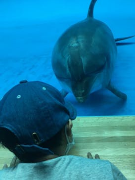アクアワールド茨城県大洗水族館に投稿された画像（2022/9/11）