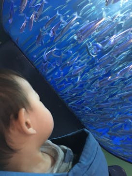 アクアワールド茨城県大洗水族館に投稿された画像（2022/9/11）