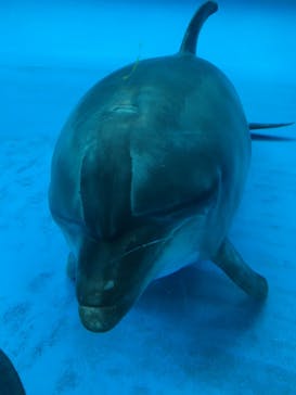 アクアワールド茨城県大洗水族館に投稿された画像（2022/9/11）