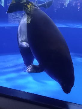 サンシャイン水族館に投稿された画像（2022/9/11）