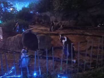 サンシャイン水族館に投稿された画像（2022/9/11）