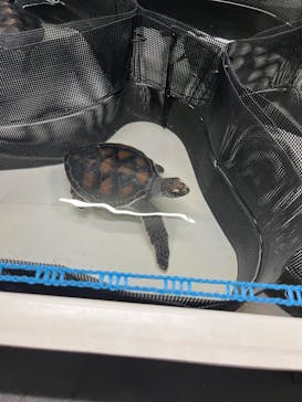 南知多ビーチランド＆南知多おもちゃ王国に投稿された画像（2022/9/11）