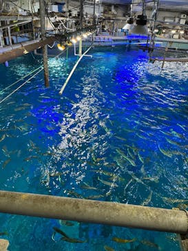 南知多ビーチランド＆南知多おもちゃ王国に投稿された画像（2022/9/11）