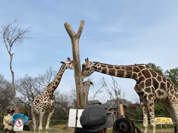 天王寺動物園に投稿された画像（2022/9/11）