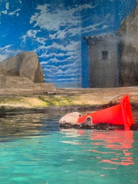 マリンワールド海の中道に投稿された画像（2022/9/11）