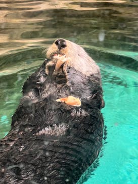 マリンワールド海の中道に投稿された画像（2022/9/11）