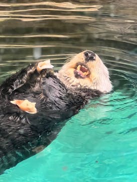 マリンワールド海の中道に投稿された画像（2022/9/11）