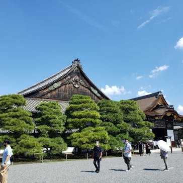 元離宮二条城に投稿された画像（2022/9/11）