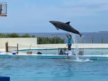 沖縄美ら海水族館に投稿された画像（2022/9/11）
