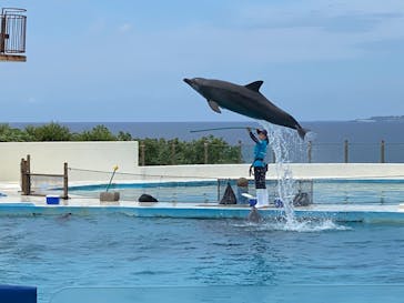 沖縄美ら海水族館に投稿された画像（2022/9/11）